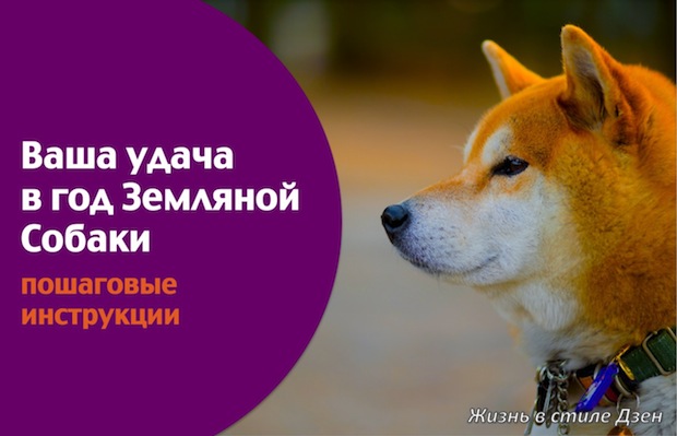 Фэншуй-2018. Секреты года Земляной Собаки